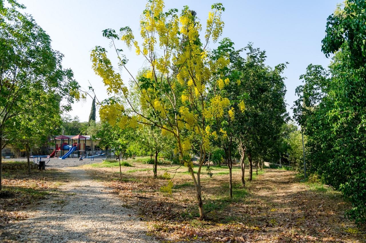 Bait Alfa Kibbutz Country Lodging Bet Alfa ภายนอก รูปภาพ